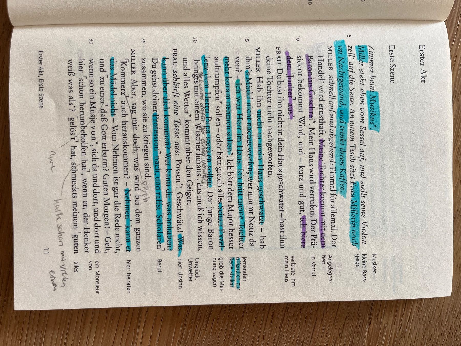 Bücher: Friedrich Schiller - Kabale und Liebe – Gebraucht aus Laupen BE von lee_ym6v 5