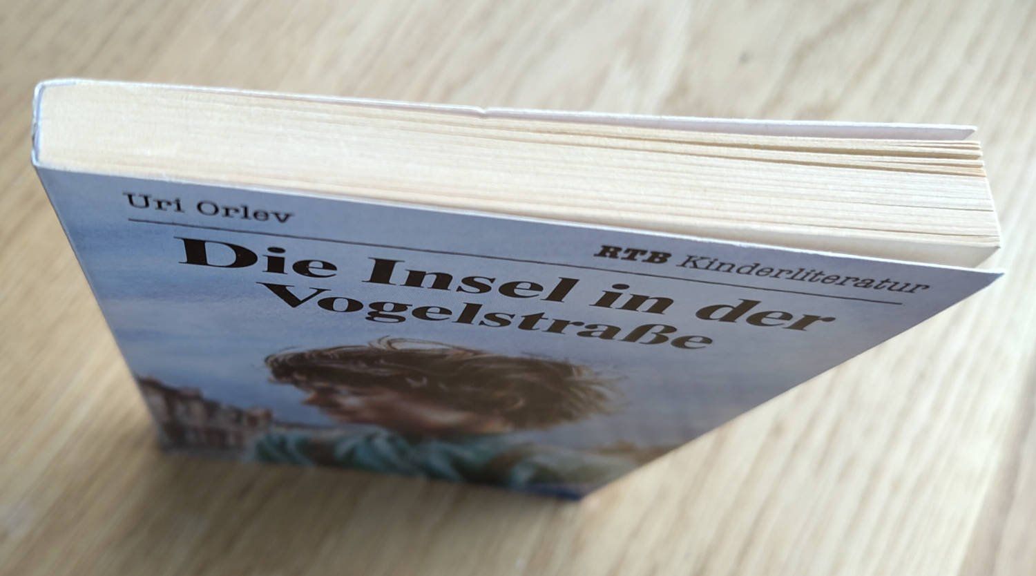 Libri: Die Insel in der Vogelstrasse – Usato da Zürich venduto da kba_579s 2