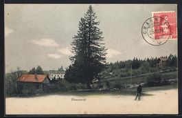 AK Chaumont /NE, Ortspartie mit Tanne