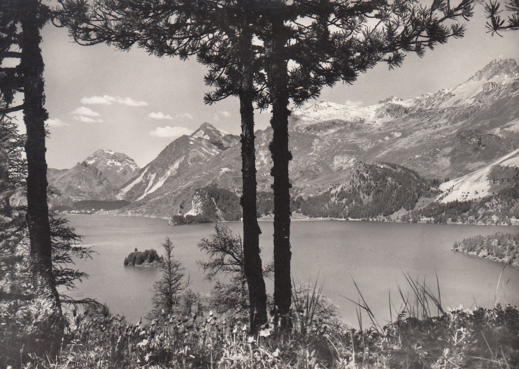 Cartoline postali: Sils ca. 1950 – Usato da Bürglen TG venduto da StampGraf