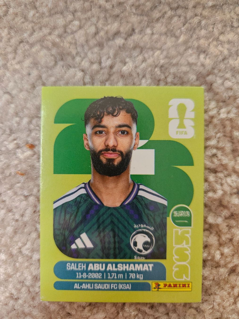 Panini Carte collezionabili: Carte Panini WM 2026 – Usato da Henniez venduto da Tjiminy