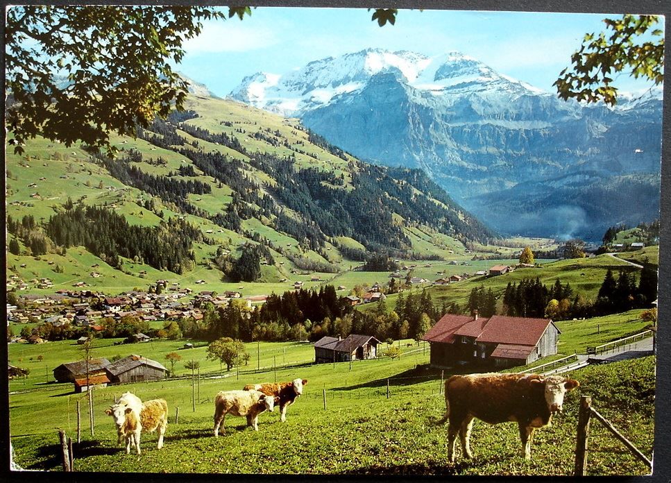 Ansichtskarten: LENK im Simmental, Kühe – Gebraucht aus Jona von philajona