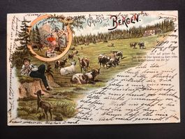 Postkarte Gruss aus den Bergen 1898 Litho (P443)