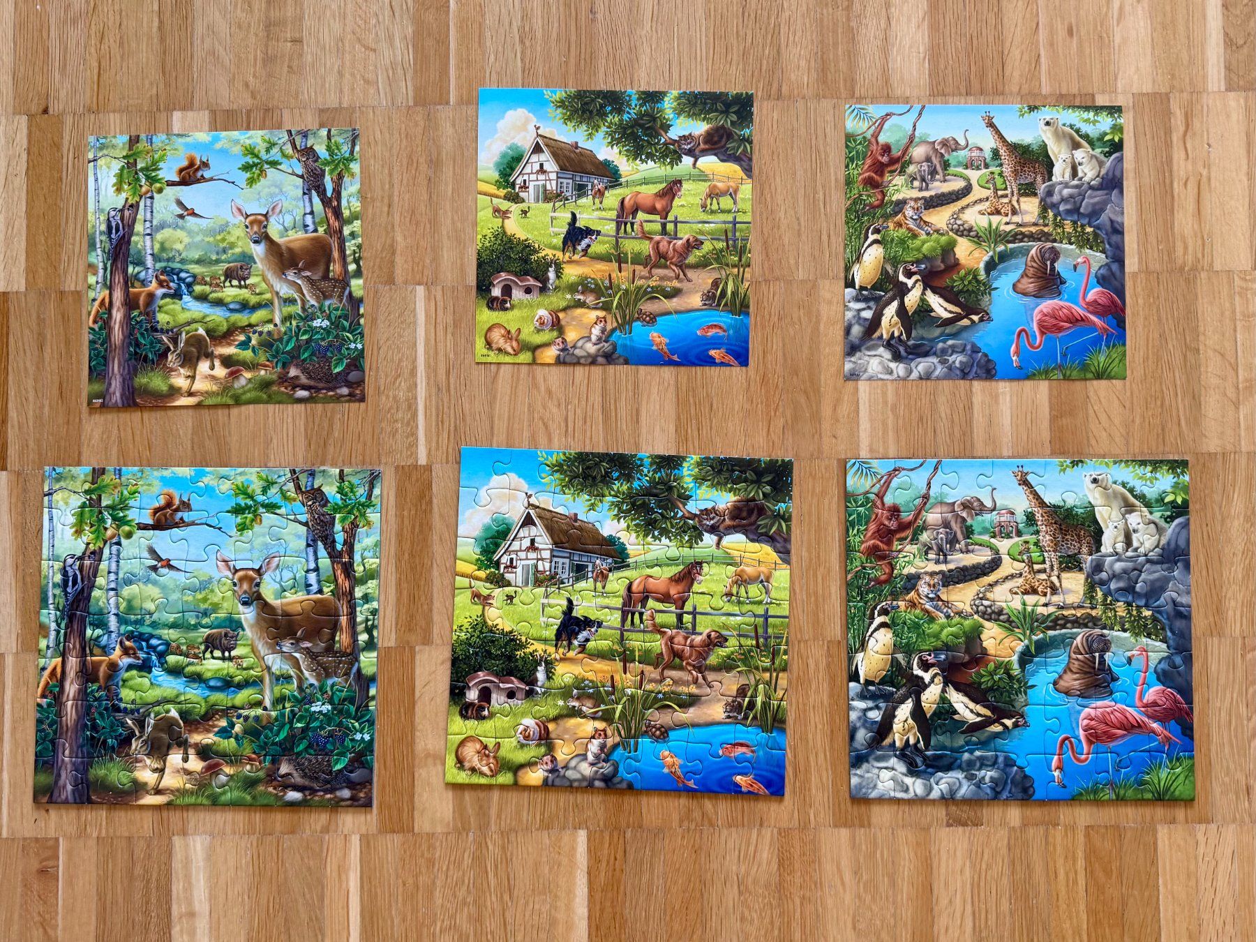 Ravensburger Puzzle: Ravensburger Puzzle-Set 5+ (2er Boxen / 6x49 Teile) – Usato da Glattpark(Opfikon) venduto da adr_m8nc 2
