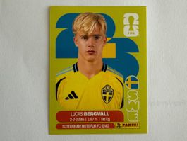 Bergvall SWE8 - Panini CH Edition WM 2026