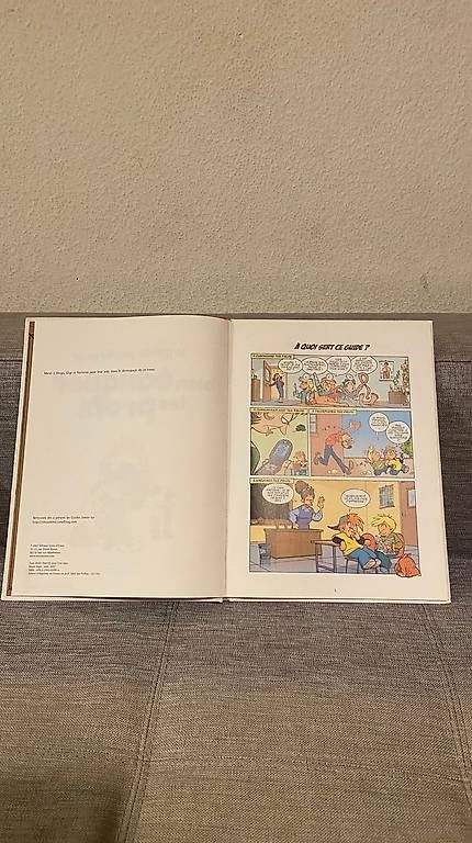 Libri: Le guide junior pour éduquer les profs Gouil Douyé Lai – Usato da Genève venduto da Jakblakjak 2