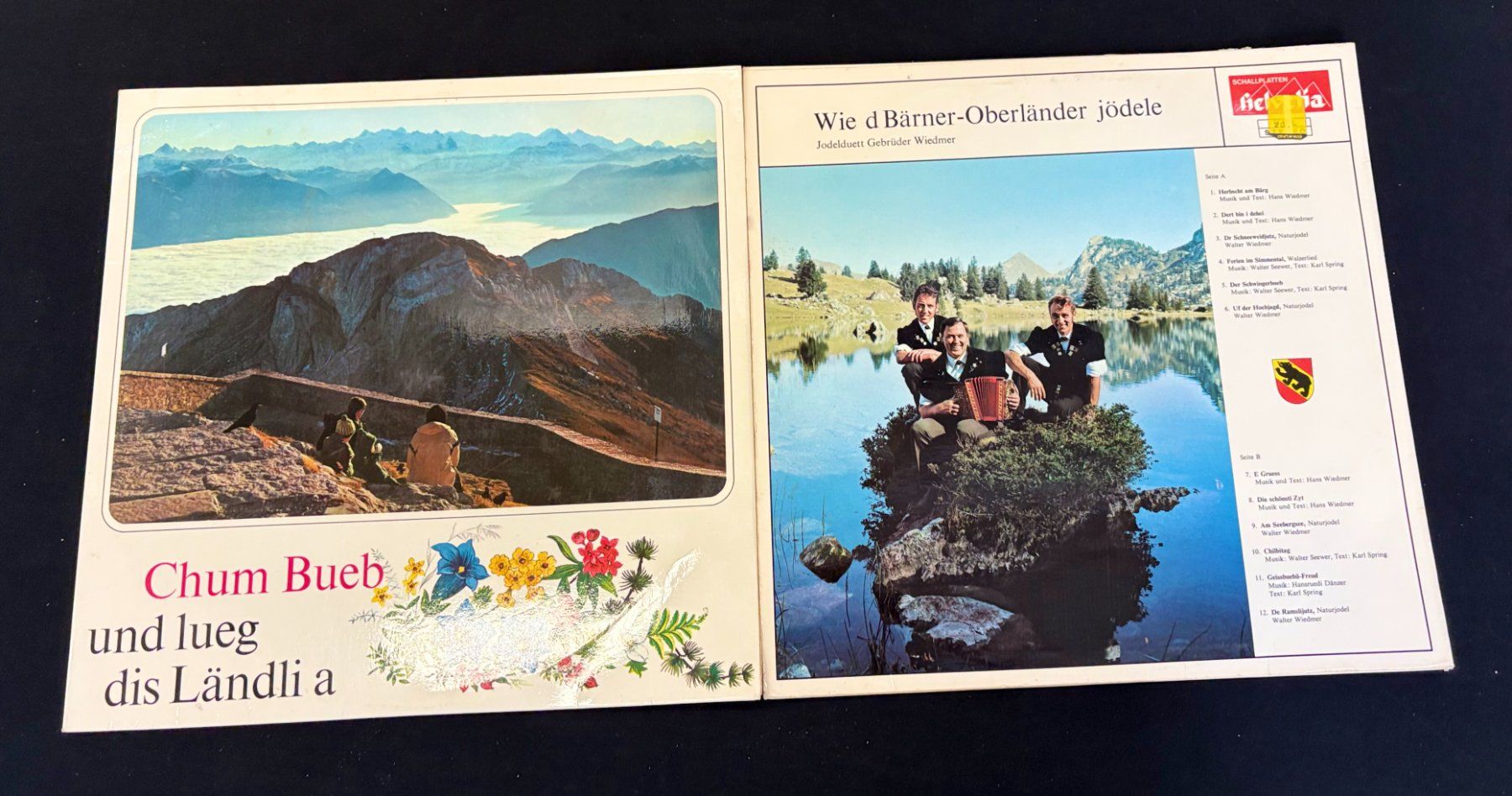 Dischi in vinile: 10  Schallplatten: Schlager-. Rock-, Pop-Platten-Sammlung – Usato da Zürich venduto da Drahtzug 4