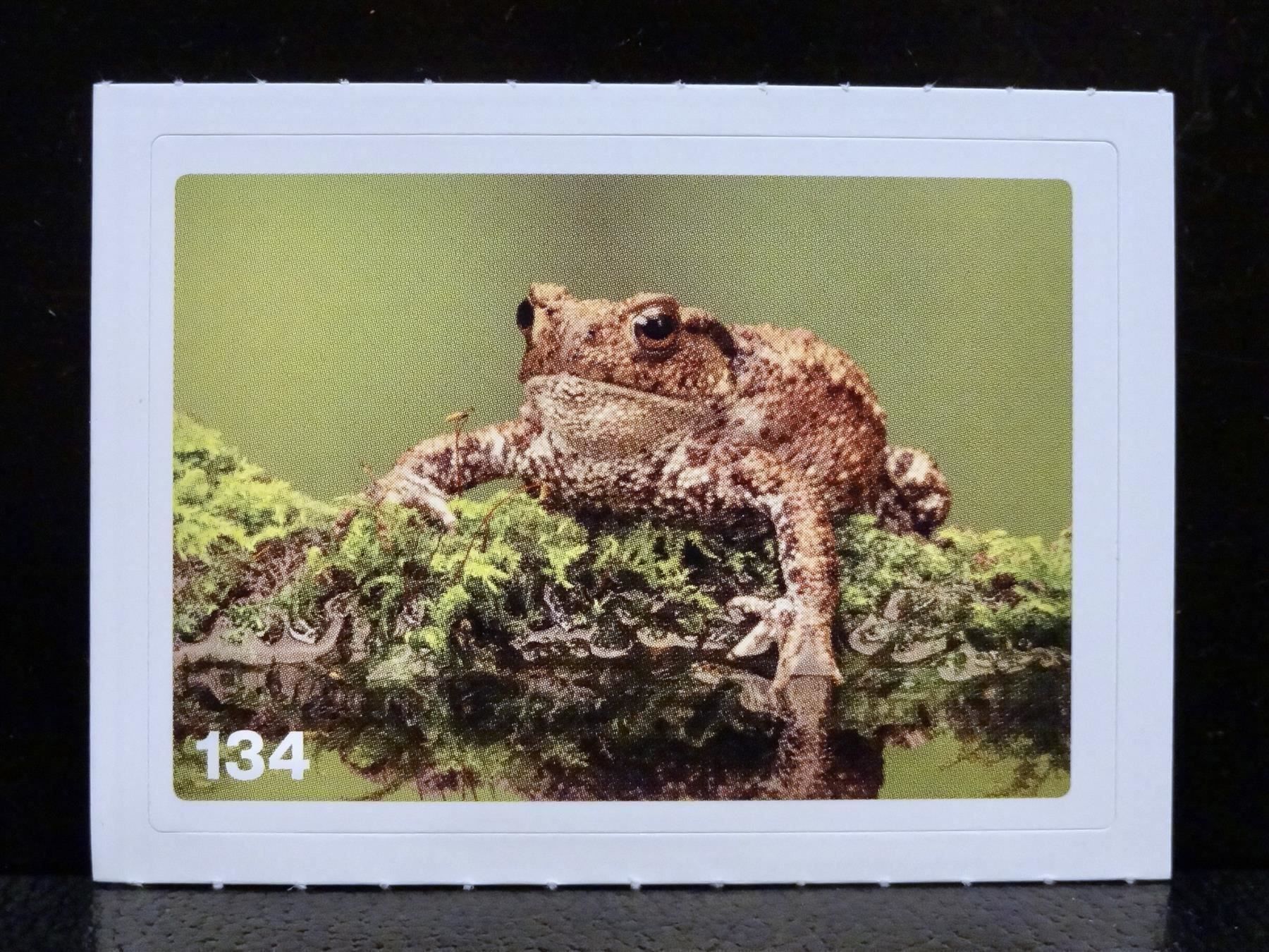 Migros Carte collezionabili: MIGROS MANIA Nature Detectives Nr. 134 – Usato da Kerzers venduto da zimmergruen