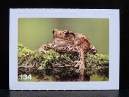 MIGROS MANIA Nature Detectives Nr. 134