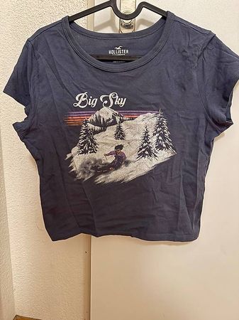 2x Hollister Shirt: Blau Gr M/Weiss Gr S