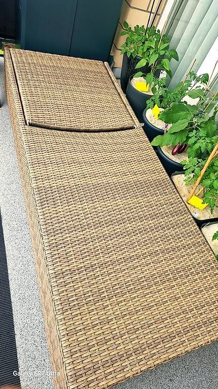 Sedie a sdraio: Rattanliege home and more – Usato da Bassersdorf venduto da Nellin 3