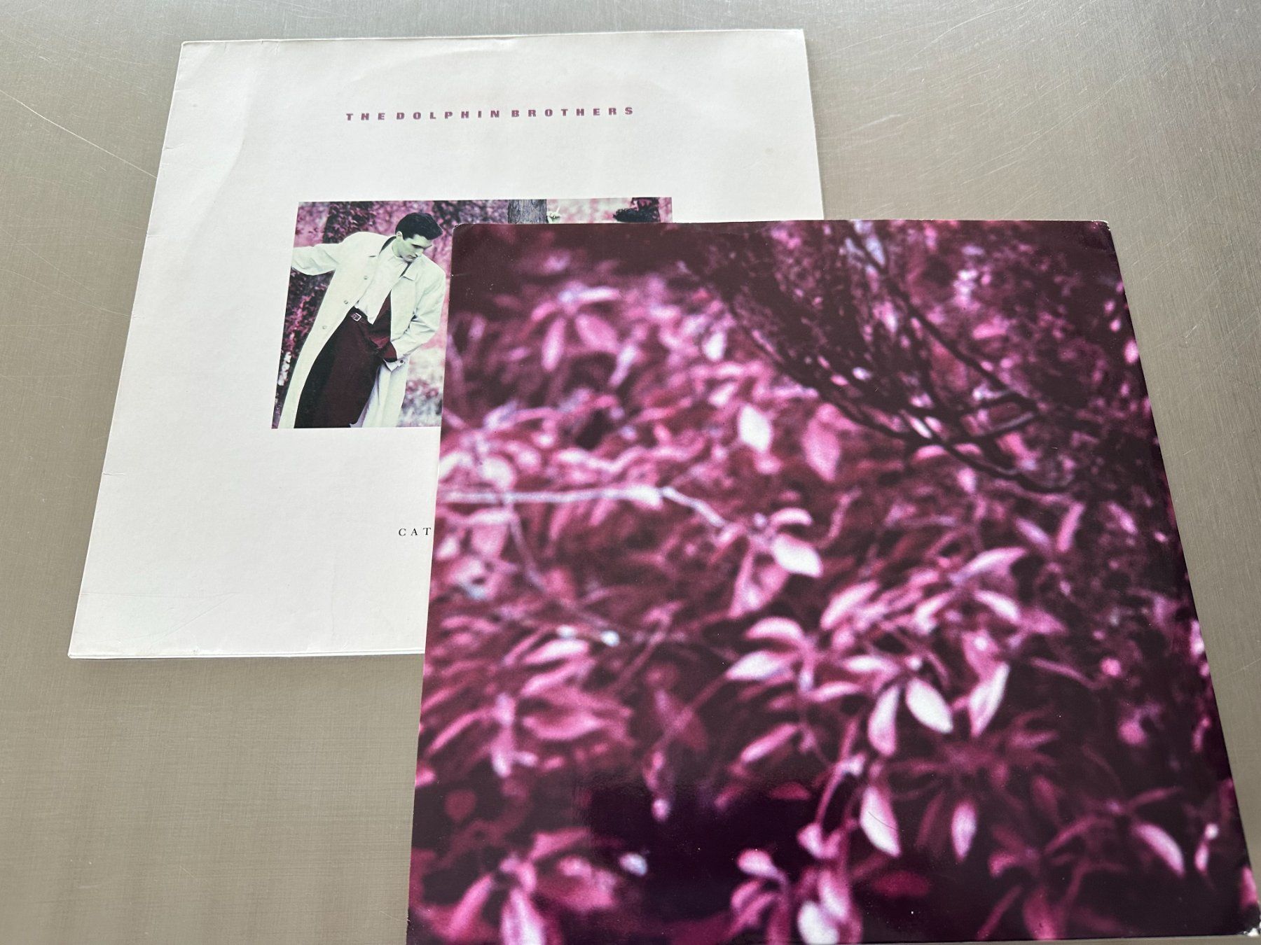 Dischi in vinile: THE DOLPHIN BROTHERS LP CATCH THE FALL – Usato da Sion venduto da jaipur1401 2