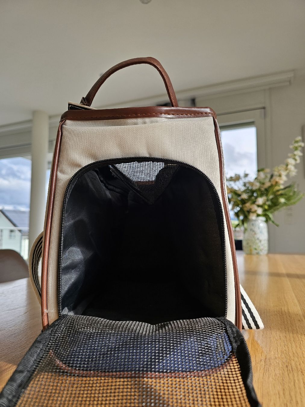 Borse: Hundetragtasche bis ca 5 KG – Nuovo (secondo la descrizione) da Lütisburg-Station venduto da OBIV 3