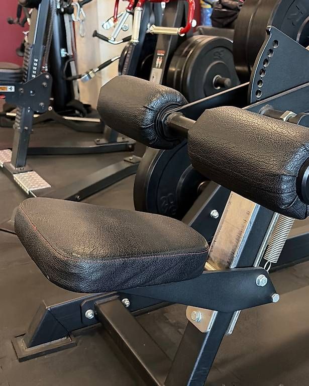 Hometrainer: Plate Loaded Iso-Lateral High Row  Latmaschine  – Usato da Reinach BL venduto da Anna1989 1