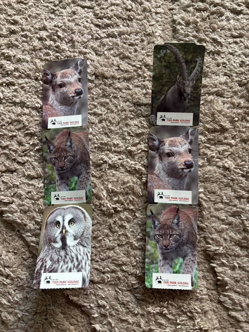 Billets: Tierpark Goldau Tickets – Neuf (Voir description) à Goldau par G_G01