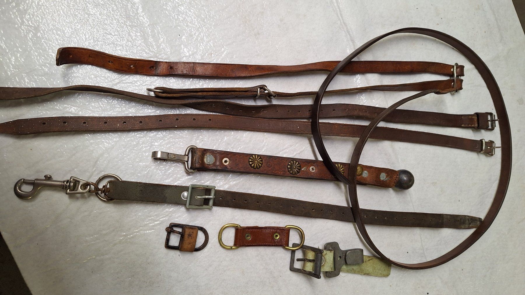 Attrezzatura da arrampicata: Diverse alte Leder -Riemen – Usato da Dornach venduto da majo8689