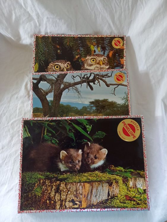 Lot de 16 puzzles en bois d'animaux pour enfants de 3 à 8 ans, cadeau d'anniversaire pour enfants, cadeaux pour invités, emballage individuel, jeux éducatifs ( Pack de 16 puzzles en bois
