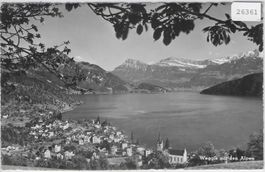 Weggis mit den Alpen - Schiffsstempel