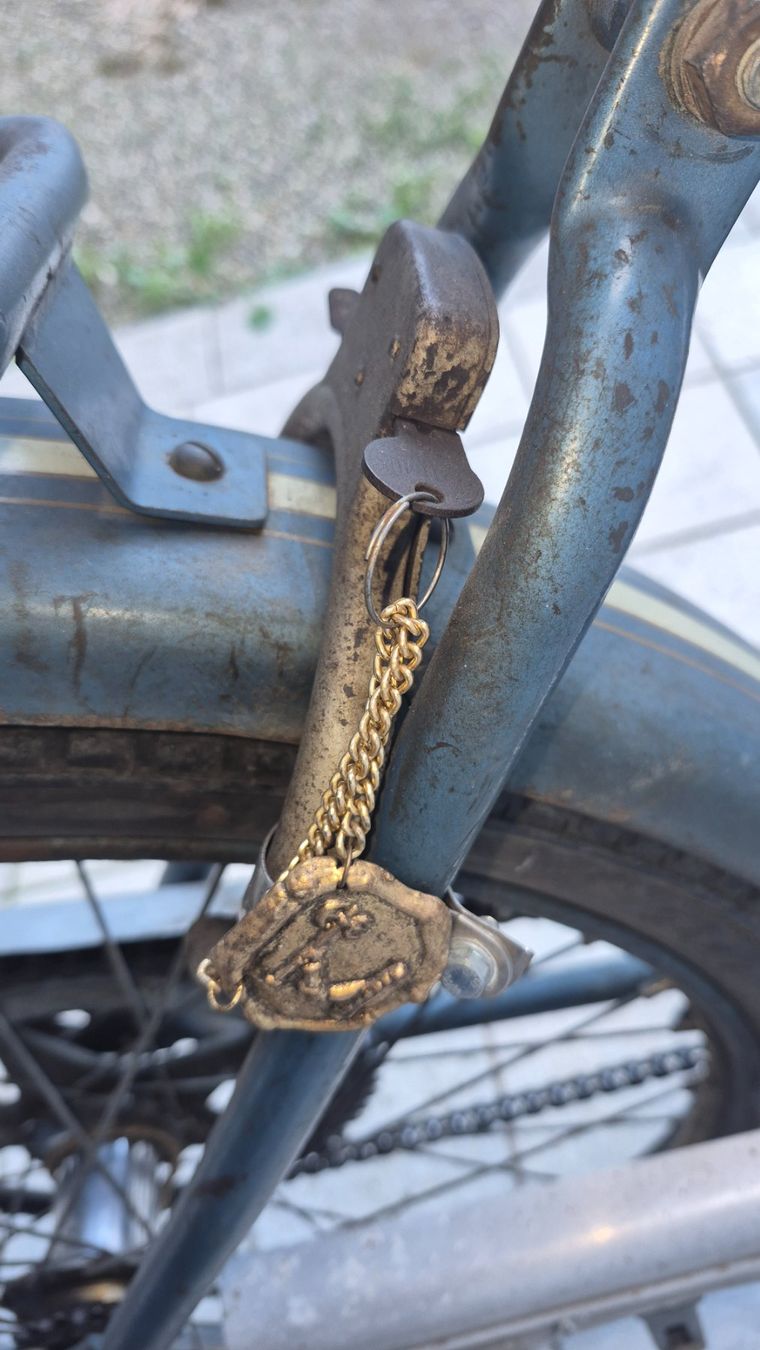 Monark Ciclomotori: Monark monomarcia motore JLO – Usato da Riva San Vitale venduto da Marneta 7
