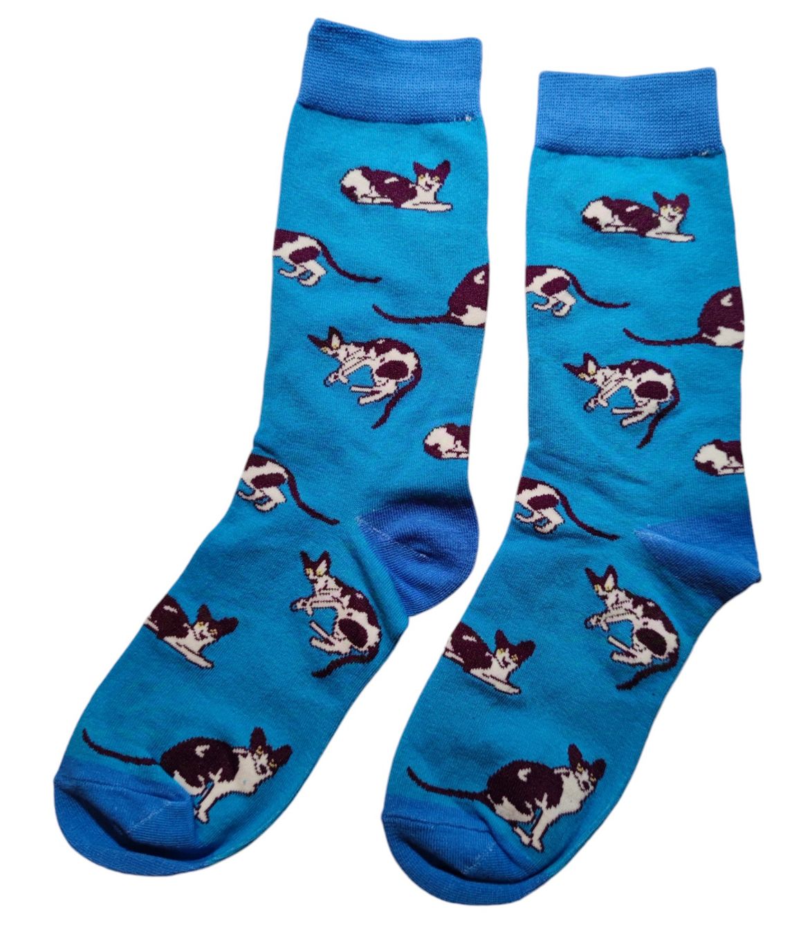 Calze: Socken Katzen / Cats – Nuovo e nell'imballaggio originale da Zürich venduto da amysmith 1