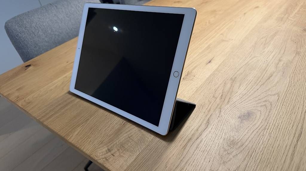 Apple Tablet PC: iPad Pro 12.9' 256GB (A1652) – Usato da Weinfelden venduto da marco.jud 1