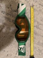 Alpina Ski/Snowboard Goggles, green, children