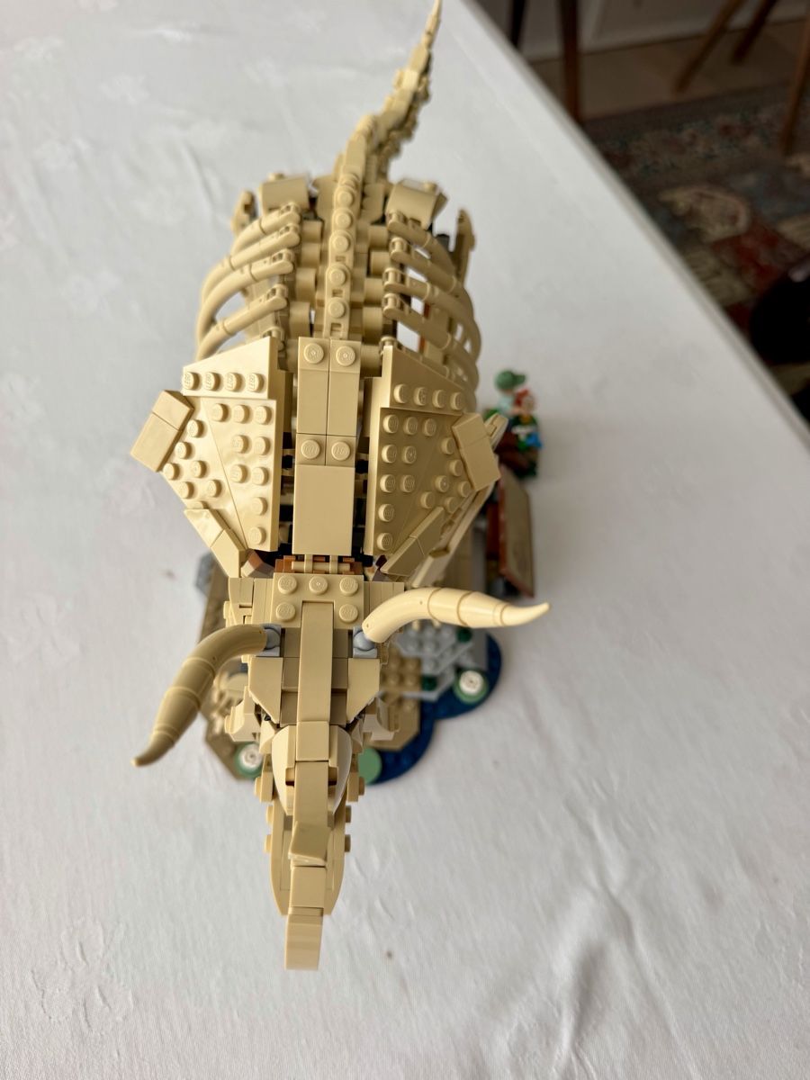 Lego Kit di costruzioni: Lego Dinosaurier – Usato da Einsiedeln venduto da ironlady3 2