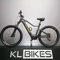 E-BIKE FLYER 25KM/H | 85NM & 625WH BOSCH ELEKTROVELO