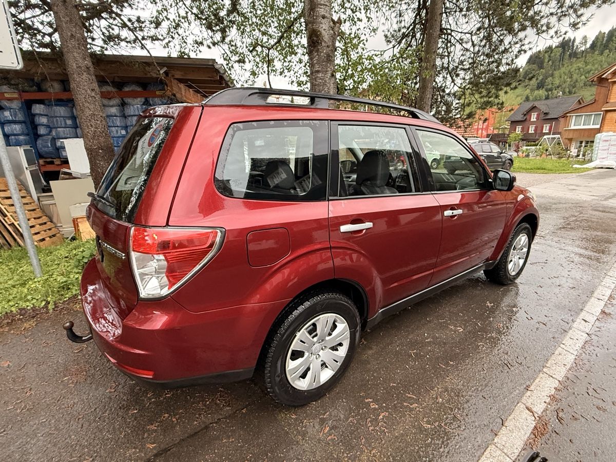 Subaru Automobili: Subaru Forester 4x4 Automat mit MFK & Service – Usato da Rothenthurm venduto da JanFuechslin 1