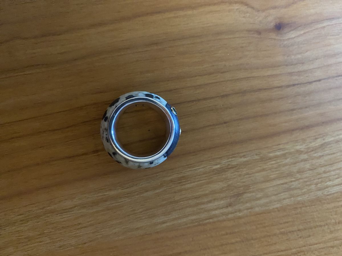 Anelli: Silberring mit Dalmantinerjaspis und Ebenholz – Nuovo e nell'imballaggio originale da Hermrigen venduto da pepper015 2