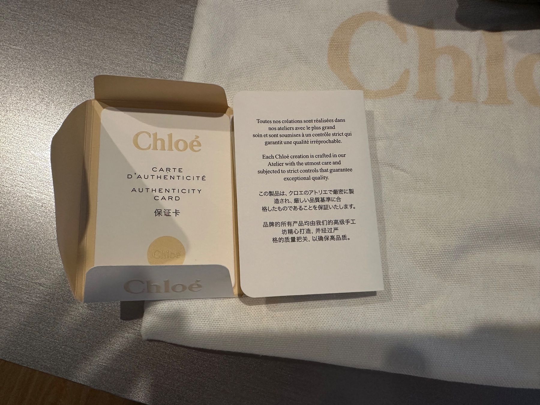 Chloé Taschen für Damen: Chloé Marcie Special Edition Slate Green – Neu (gemäss Beschreibung) aus Flims Dorf von Specials 2