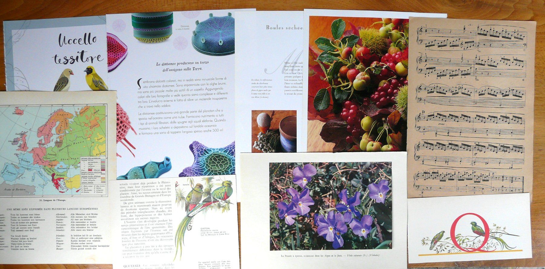 Libri: ephemera 6/papier collage bastelpapier scrapbooking +Versand – Usato da Pully venduto da websurfer1 3