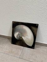 Dekoratives Wandbild Nautilus-Muschel