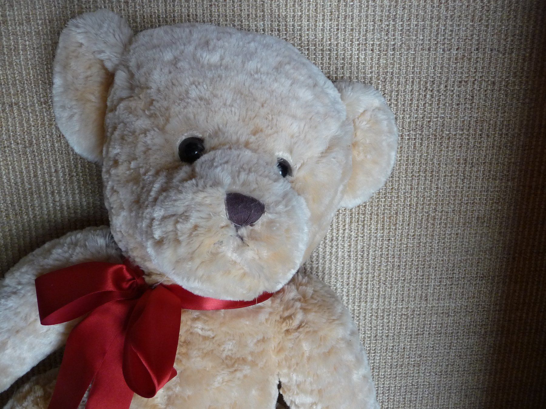 Spielzeuge: Grosser Eisbär und Teddybär, beides neu – Neu (gemäss Beschreibung) aus Kirchberg BE von lavendel02 2