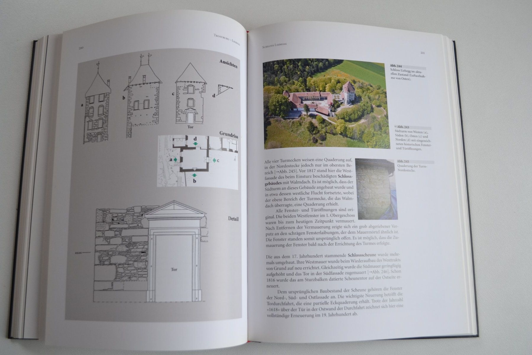 Libri: Chronik Liebegg und Trostburg – Usato da Beinwil am See venduto da kajak55 3