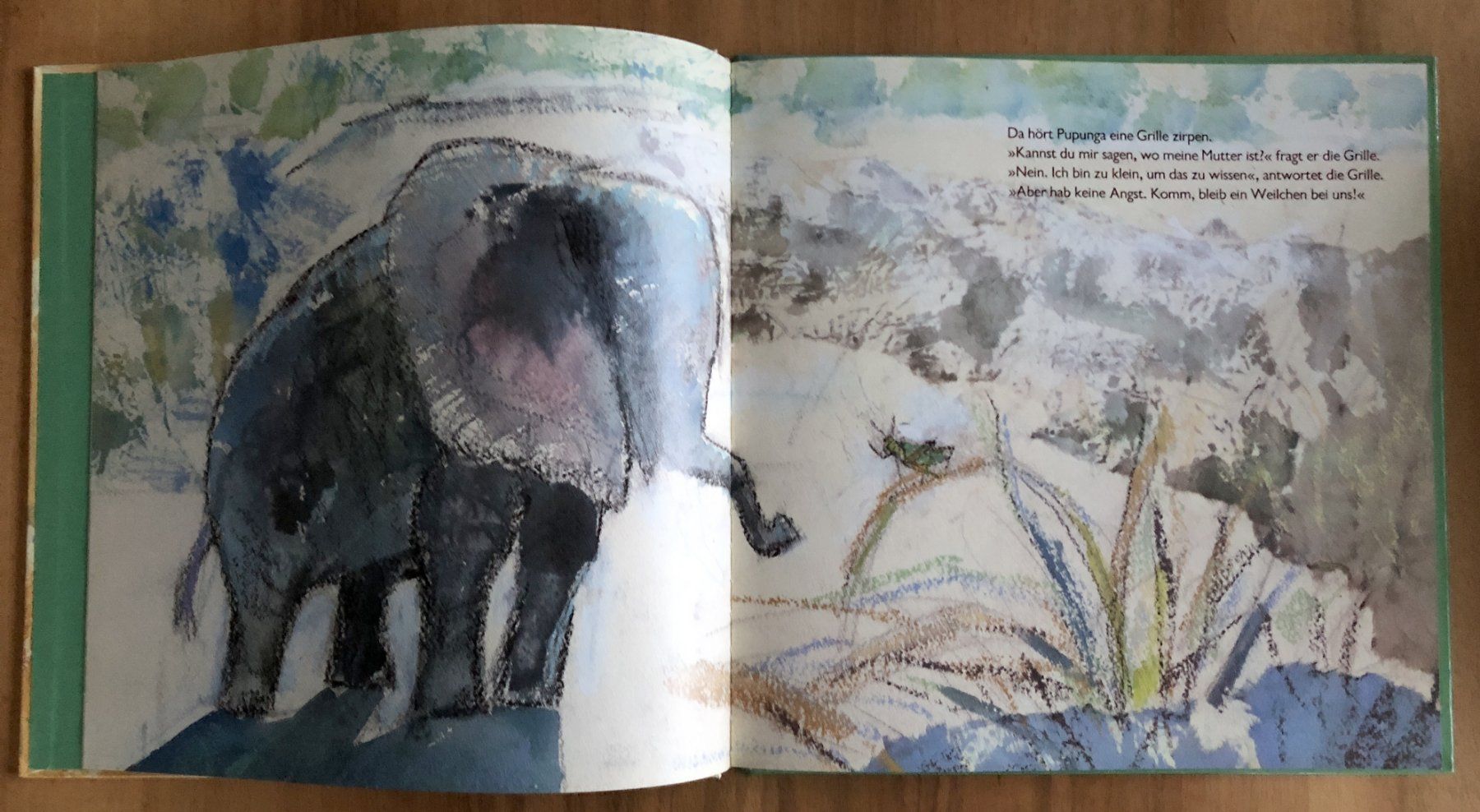 Libri: Kinderbuch "Papunga, das Elefantenkind" – Usato da Starrkirch-Wil venduto da heidiml 1