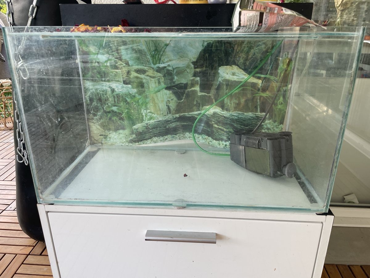 Aquarium: Aquarium  – D'occasion à Aarau Rohr par geri71 2
