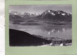 Aussicht von Haltenegg auf Thunersee 1959