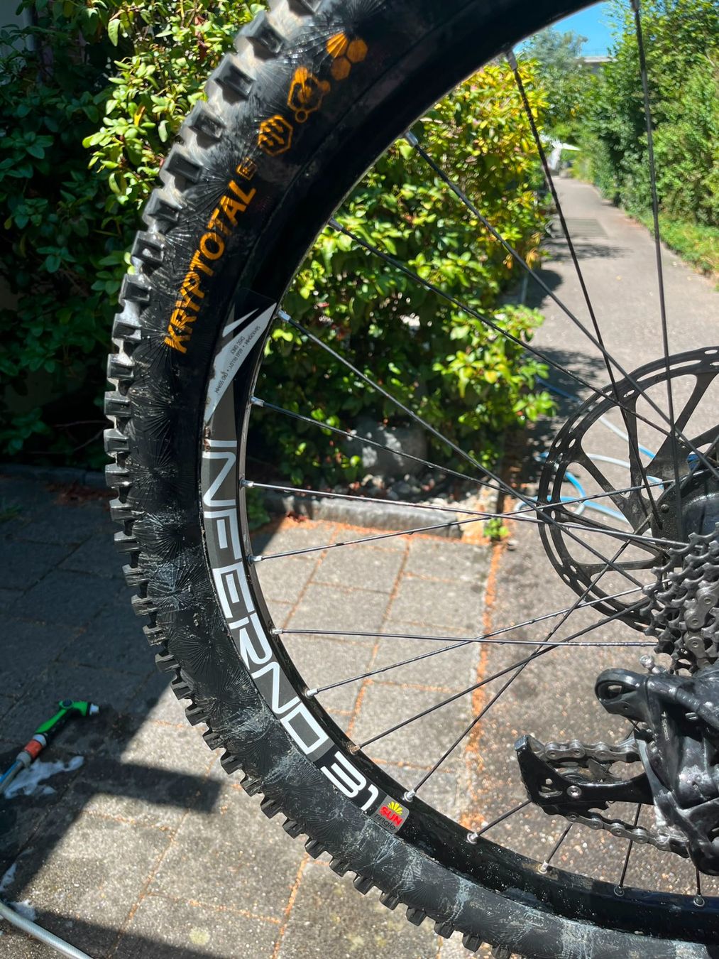 Trek Biciclette: Trek session 8 Downhill Maschine – Usato da Bern venduto da Jaguar06 5