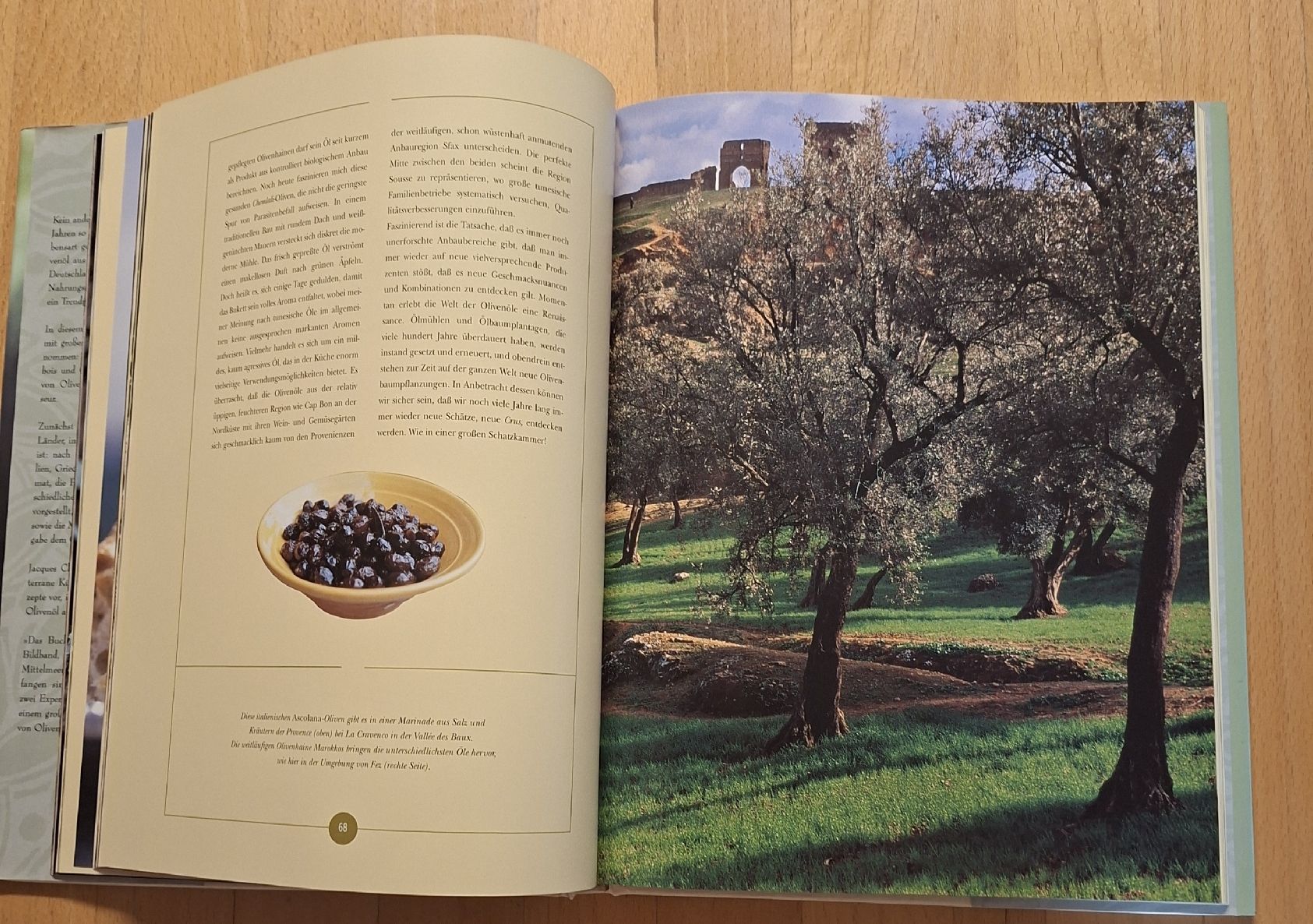 Libri: Das Buch vom Olivenöl. Jacques Chibois – Usato da Niederglatt ZH venduto da Siegfried67 6