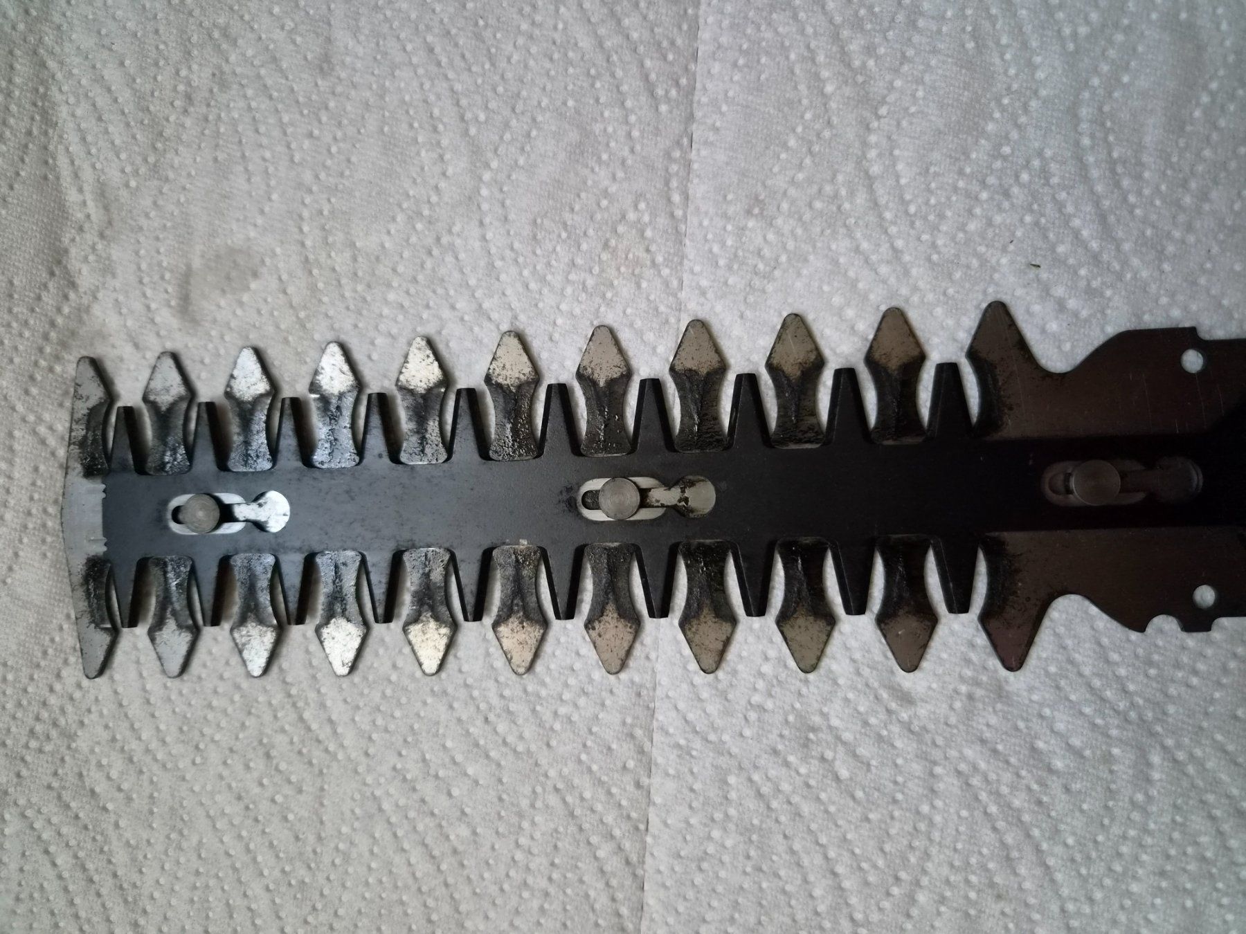 Bosch Tutti gli attrezzi: BOSCH ASB 10,8 LI Set Akku-Strauchschere, Grasschere – Usato da Eschenbach SG venduto da floeckli444 7