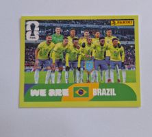 Panini BRA 13