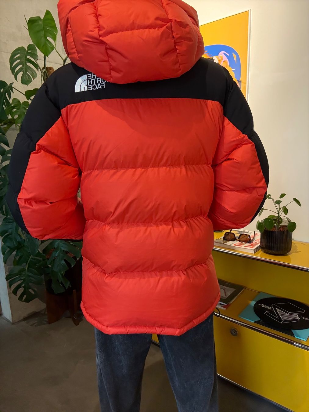 North Face Giacche: The North Face 700 – Usato da Zürich venduto da fra_6fph 1