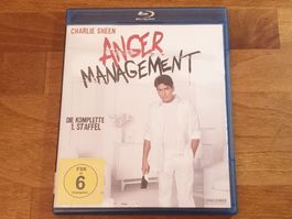 Anger Management - Staffel 1