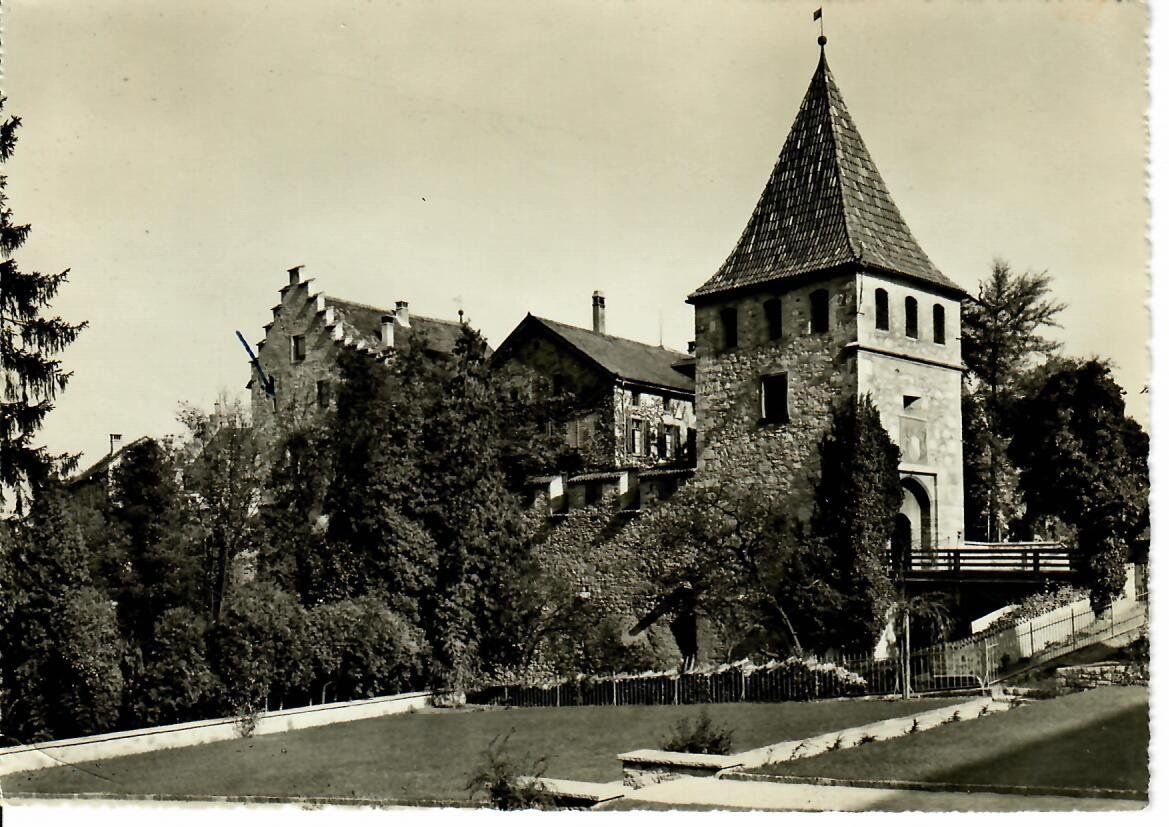 Cartoline postali: Schloss Laufen am Rheinfall – Usato da Hochdorf venduto da Ziegel-16