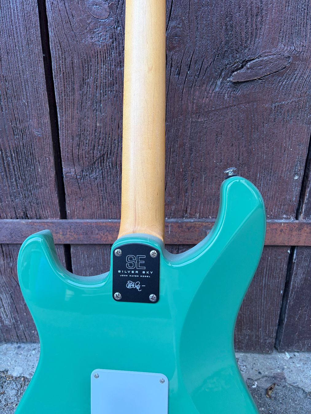 Strumenti musicali: E-Gitarre PRS SE Standard 24 Grün – Usato da Müntschemier venduto da R.e.b.e.c.c.a 5