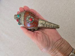 Tibetisches Schneckenhorn Shanka buddhistisches Ritualobjekt