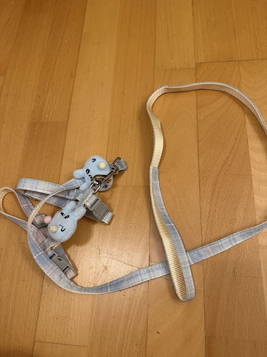 Guinzagli & Collari: Katzengeschirr pet leash new – Usato da Zürich venduto da arr_vq5w 3