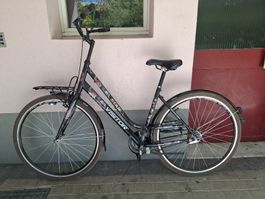 Klassisches Citybike Single-Speed (28" / XL) – Top Zustand, 
