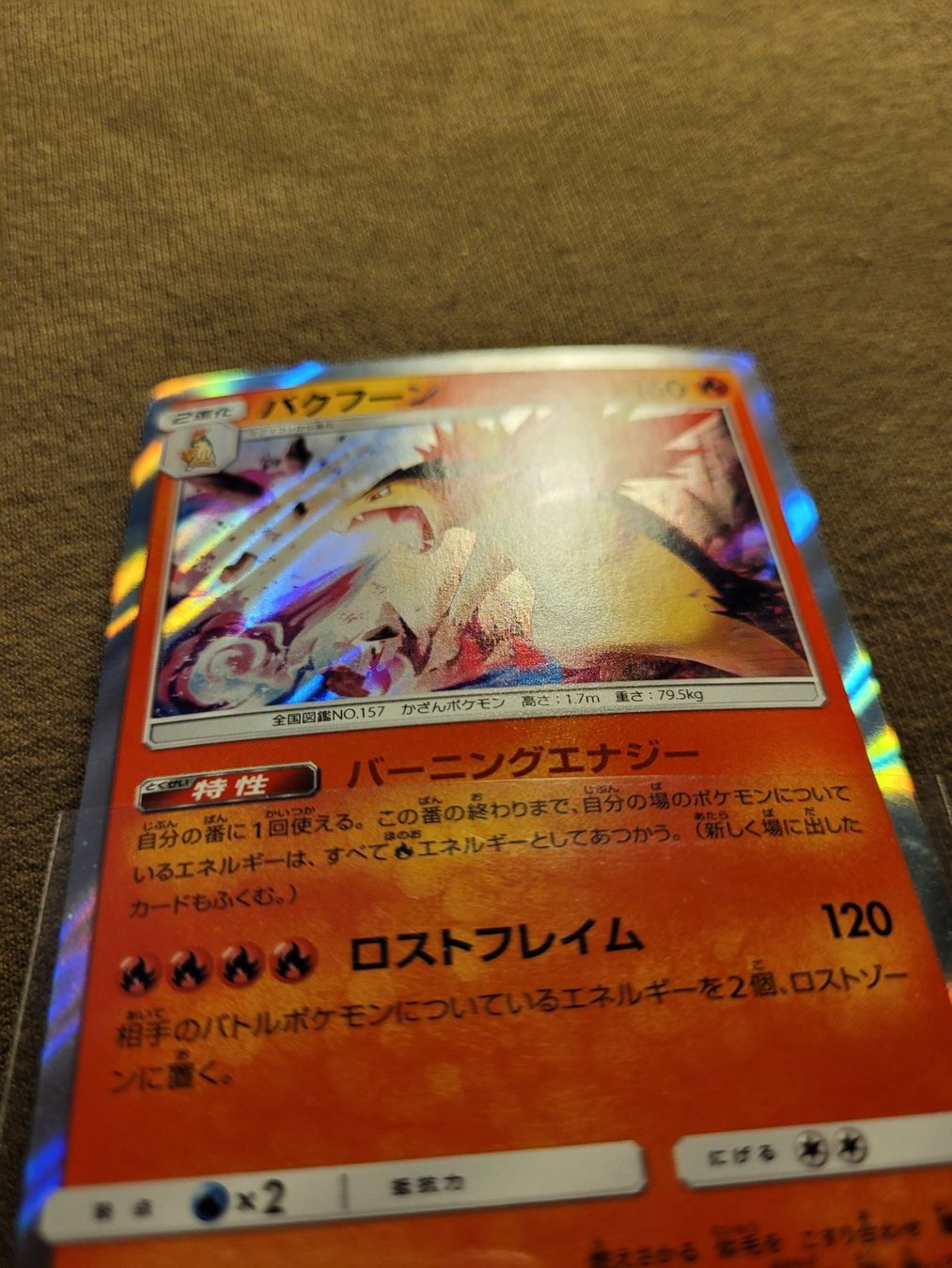 Pokémon Carte collezionabili: Typhlosion 19/95 (JP) Holo – Usato da Grindelwald venduto da lego9 4